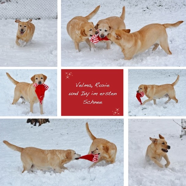 weihnachten2013