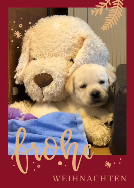 2018 weihnachten