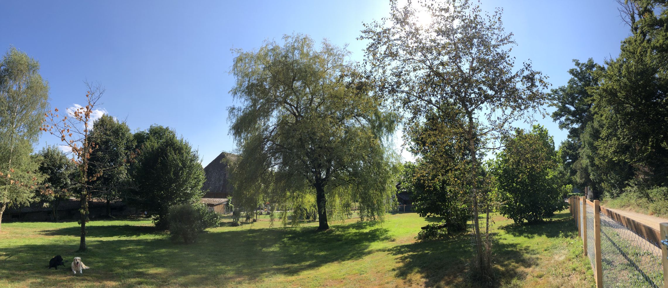 2022 hundepark